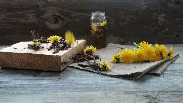 Medicinal dandelion flowers fall on wooden background, decoction preparation process, herbal medicine concept.