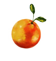 Orange painting isolated on white background ,digital art oil painting style