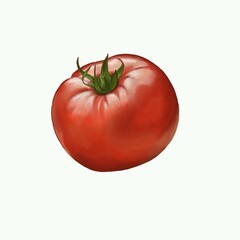 Tomato  painting isolated on white background,digital art oil pastel painting technique 
