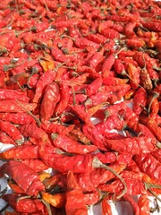 Fresh Dry red chilies with blur background