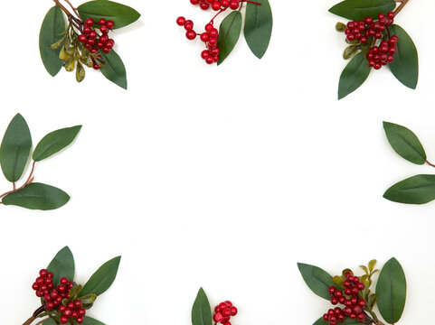 A holiday frame of red berries and green leaves arranged on a white Christmas background. The berries are clustered together in small bunches, while the leaves are long and slender. 