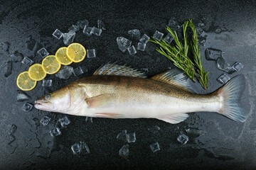  whole fish and ice pieces are on black background  top view
