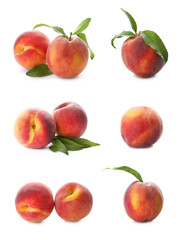 Set of fresh ripe peaches on white background