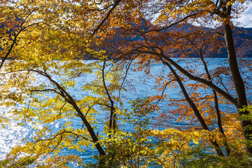 【奥日光】紅葉の中禅寺湖畔