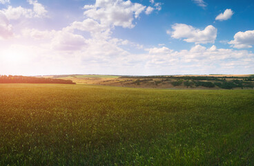 Countryside agriculture green hills with sunlight.