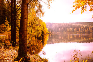 golden autumn, autumn landscape, reservoir in the Upper Palatinate, colorful leaves