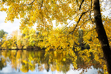 golden autumn, autumn landscape, reservoir in the Upper Palatinate, colorful leaves