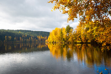 Fototapeta na wymiar golden autumn, autumn landscape, reservoir in the Upper Palatinate, colorful leaves