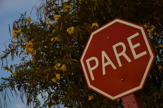 stop sign on the road