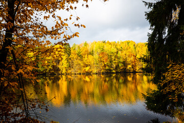 golden autumn, autumn landscape, reservoir in the Upper Palatinate, colorful leaves
