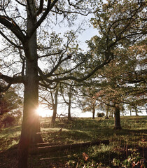 Obraz premium Vibrant Sunset across Irish Landscape