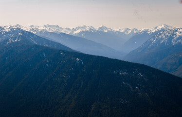 Hurricane Ridge in Olympic National Park