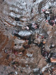 water flowing in the river