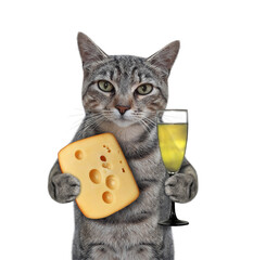A gray cat holds a piece of cheese with holes and a glass of wine. White background. Isolated.