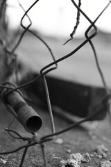 Fototapeta na wymiar barbed wire fence