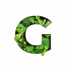 Letter G of English alphabet of green mint natural leafs and cut paper isolated on white. Leaves...