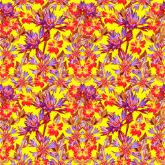 Fototapeta na wymiar Cornflower and daffodile flower seamless pattern. 