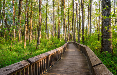 Fototapeta premium Billy Frank Jr. Nisqually National Wildlife Refuge