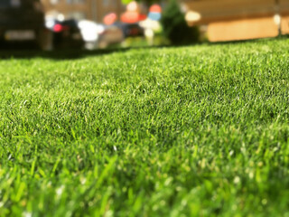 field