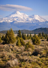 Mount Shasta