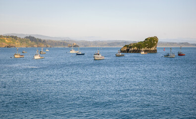 Obraz premium Trinidad Bay