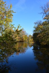 autumn trees reflected in water