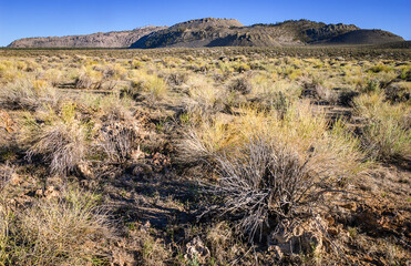 Mono-Inyo Craters