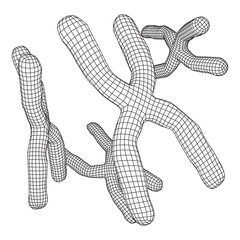 Chromosome scientific medicine education concept.
