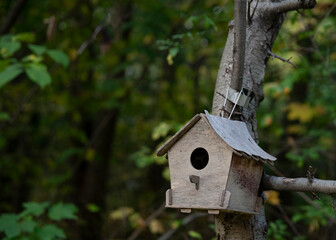 birdhouse
