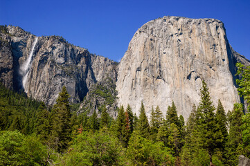 Yosemite National Park