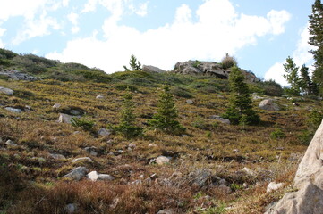 Fototapeta na wymiar alpine area