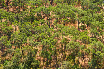 Mount Diablo State Park