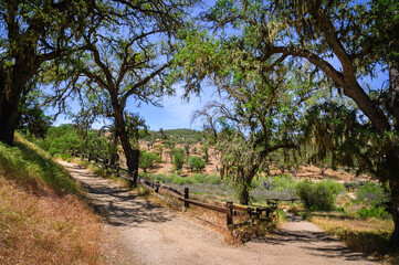 Fototapeta premium Pinnacles National Park