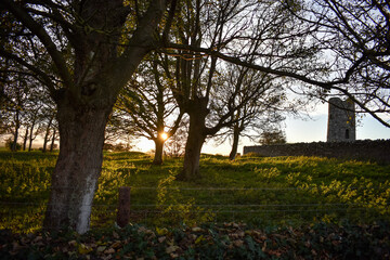 Celtic round tower and meadow at sunset
