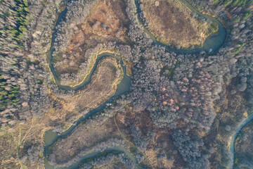 Beautiful landscape with a winding river and forest in the sun. Aerial photography using a drone