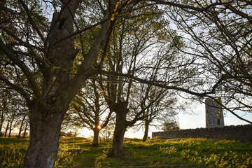 Fototapeta na wymiar Celtic round tower and meadow at sunset