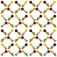 Decorative floral pattern with colorful Chrysanthemum isolated on white background