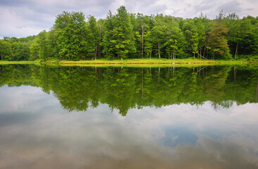 Red House Lake in Allegany State Park