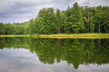 Red House Lake in Allegany State Park