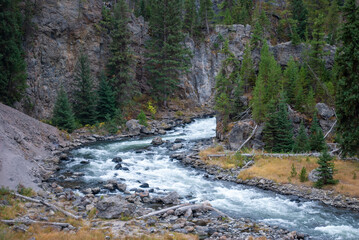 Yellowstone National Park