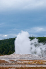 Yellowstone National Park Geyser