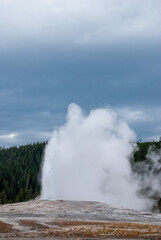 Yellowstone National Park Geyser