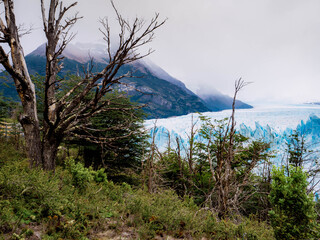 Obraz na płótnie Canvas Perito Moreno Glacier in Patagonia in South America