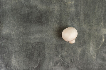 One mushroom on a dark background.