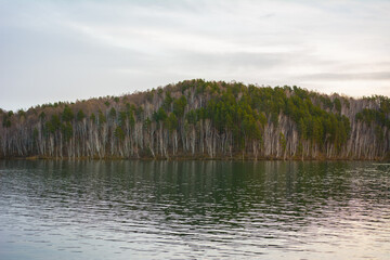 Angara river and the forest in the background.