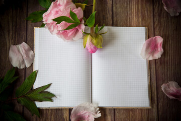 pink blooming peonies on a detailed blank notebook