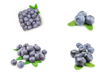 Group of bilberry on a white background