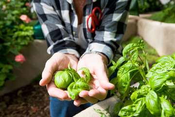 senior woman gardening in geodesic gome