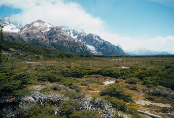 Fototapeta na wymiar Forests and mountains of Patagonia in South America