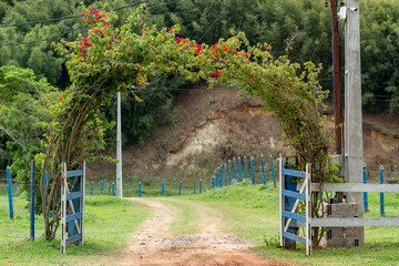 Arch of plants and flower on a farm gate